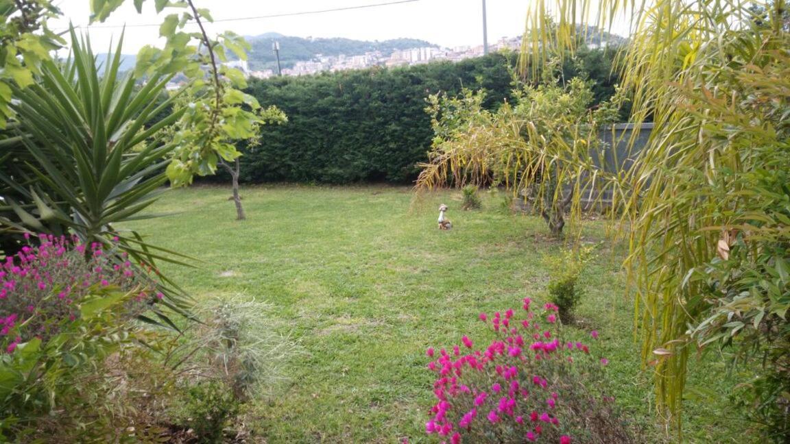 Costa Blu Bed & Breakfast Agropoli Exterior photo